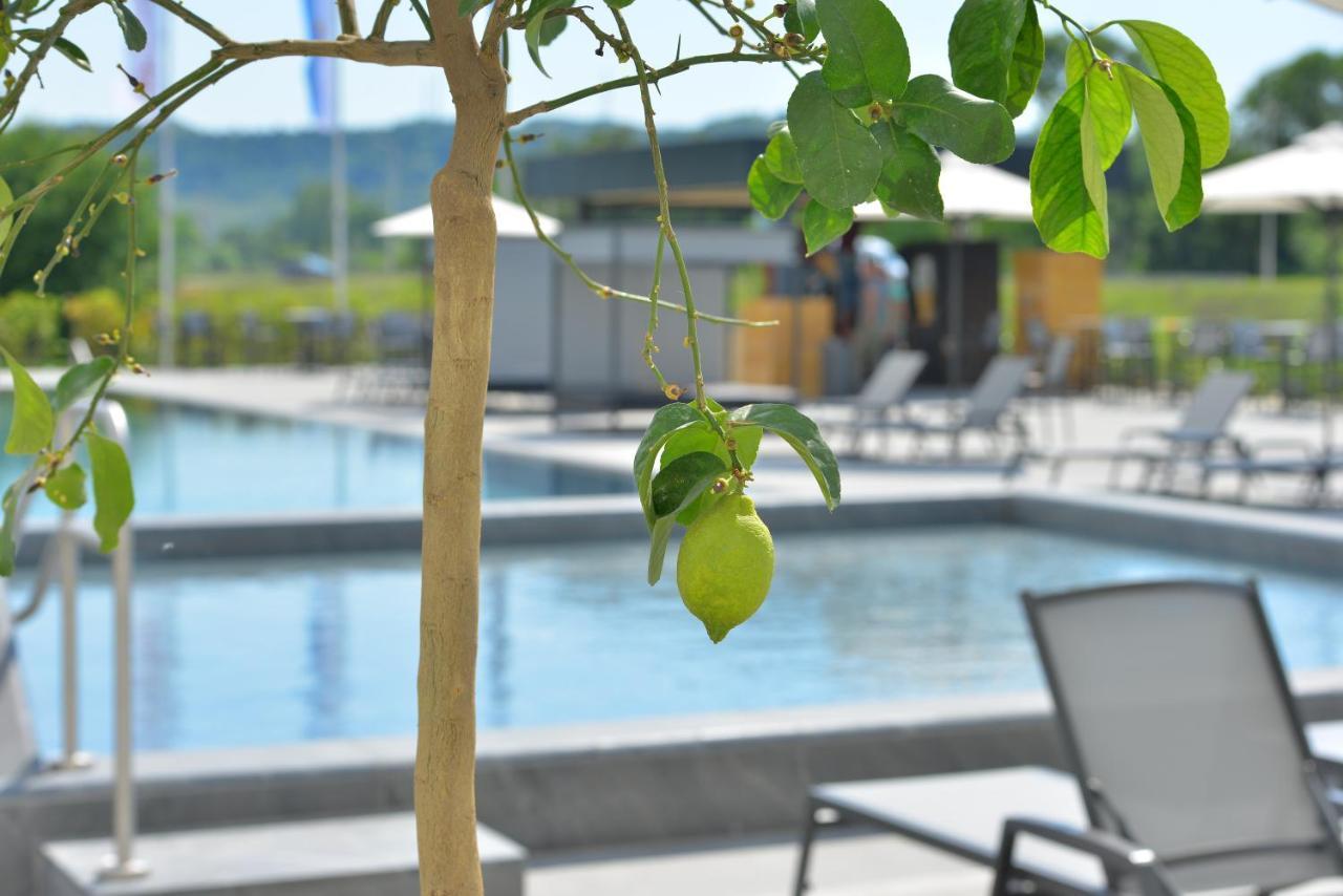 Mk Hotel Tirana Rinas 외부 사진 The swimming pool